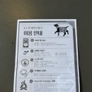 소노펫 비발디파크 스위트 Pet Club 파크뷰 숙박 후기｜소노펫스포트까지 한 번에