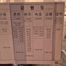 안양시외버스정류장(상행) | 강릉뚜벅이당일여행 강릉커피거리 안목해변(안양시외버스터미널(상행) -&gt; 강릉시외버스터미널) 다녀왔어요