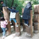힐링숲협동조합 이미지
