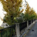 송내대로42번길 이미지