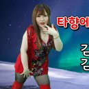 가수김효정-타향에서만난사람 김효정작사 김효정작곡 최신트로트 섹시가수 제155회 김효정의 러브콜센터 이미지