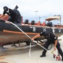 완도9호 이미지