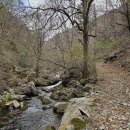 항골계곡 물레방아옆 | 정선 항골계곡 숨바우길 백석봉