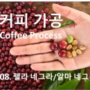 펠라네그라 이미지