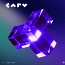 CARV 노드 및 CARV ID 2년 투자 복기와 멘징 후기