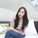 해피독반려견방문교육 이미지