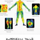 미그루한의원 이미지