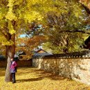 만년소녀 이미지