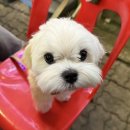 [블챌 7주차] 블로그 제목 정하기가 세상에서 가장 어렵다