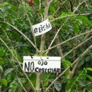 에스농장 이미지