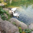 하늘연못팬션 이미지