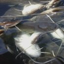 청천경로당 이미지