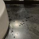 [강남구사무실청소] 깨끗한 청소 오렌지크린에서 맡겨보세요!