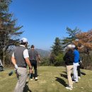 강산스포츠 | [다산피티, 다산PT] TPL회원님들과 클럽디 더플레이어스 CC라운딩 후기!