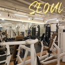 휘트니스 라운지 | 송파여성전용PT 추천 온화 피트니스라운지 조영환 대표님 PT 후기