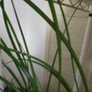 환희세탁소 이미지