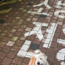 우프테이블 이미지