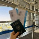 소로3-용운93 | 9월 조지아 6박 7일 자유여행 추천 일정, 트레킹, 비용