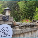 부안 촌캉스 이미지