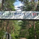 위양지 관광농원 이미지