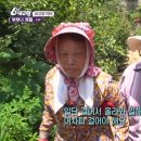 닥터바른