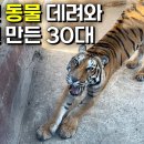 시바 유튜브에서 유기된 동물들 모여잇는 동물원 봣는데 가슴이 미어진다 이미지