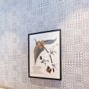 파리바게뜨 포항유강점 이미지