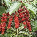 문상윤 농장 이미지