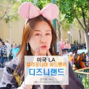 플루토모바일 주식회사 | 미국 LA 디즈니랜드 티켓 구매팁 &amp; 캘리포니아 어드벤처 뽀개기
