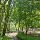 머내과학 공원 이미지