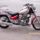 데이스타 이미지