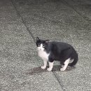 북부 동물병원 이미지