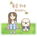 지와이엔피