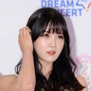 레인보우독