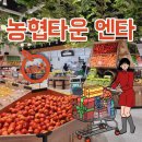 일공공일 안경콘택트 | [농협타운] 춘천 대형 멀티플렉스 엔타 ENTA, 오픈 이벤트중! 하나로 마트 방문 후기