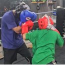 판교스타복싱 이미지