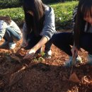 큰별나라어린이집 이미지