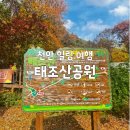 태조산 레져타운 | 국내 힐링 여행 천안 태조산 공원 숲길에서 힐링하고 가세요