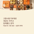 춘천사랑종합유통 | 2025 고향사랑기부제, 세액공제·답례품·꿀팁 완벽 분석