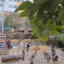 금오유치원 이미지