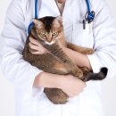 좌동메디칼센터 이미지