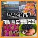그날과일 | 전주 과일가게 은석농장｜아중리 백도 복숭아·캠벨포도 구매 후기