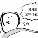 지우스파 이미지