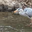 제8호 어린이공원 이미지