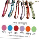 조이프랜드 이미지