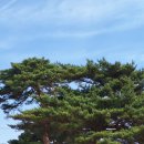 해파랑길 31코스 이미지