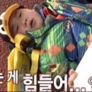 호로록