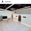 댕신나게 이미지