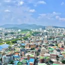 수원시 팔달구 팔달문로57번길 이미지