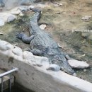 안해님농장 이미지